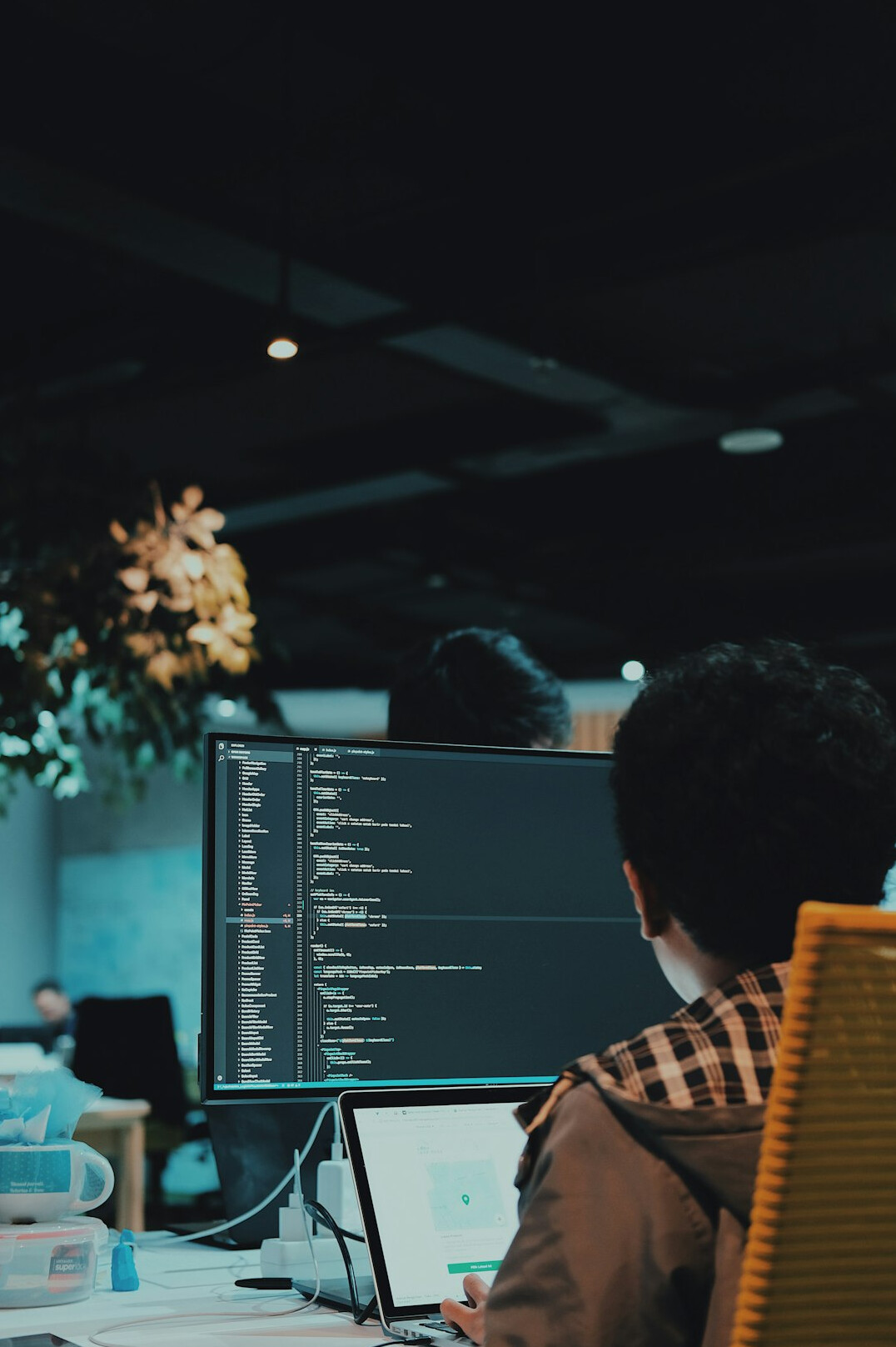 programmer coding insurance software