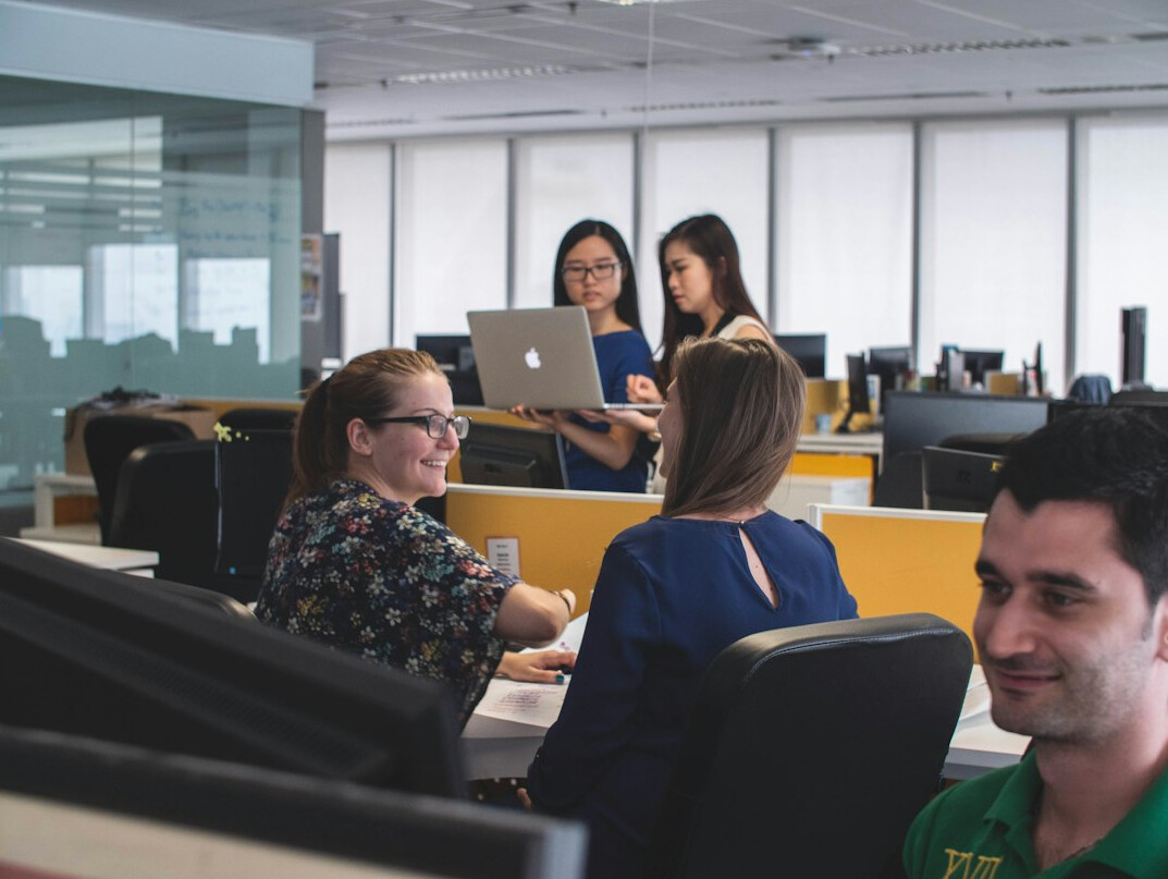 insurance programming team